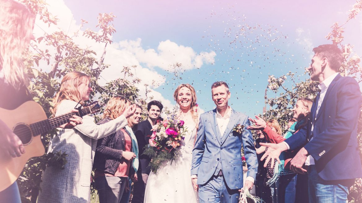 knapsels-banner-homepage